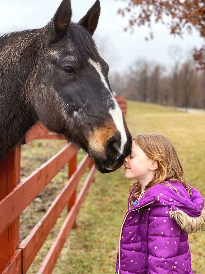 My Niece, Who Happens To Have A Heart Of Gold, Only Asked For A Few Things For Christmas. One Of Them Was Peppermints For The Neglected Horse Who Lives Across The Street