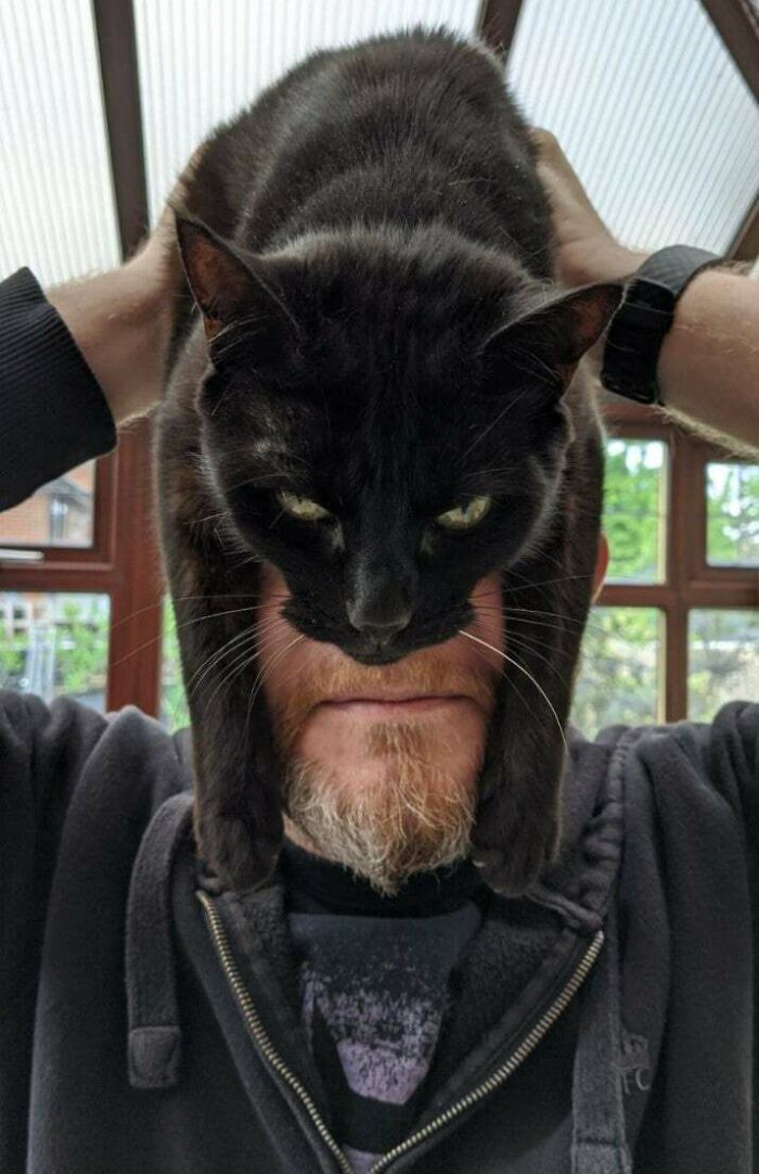 "Sometimes It's Only Madness That Makes Us What We Are"