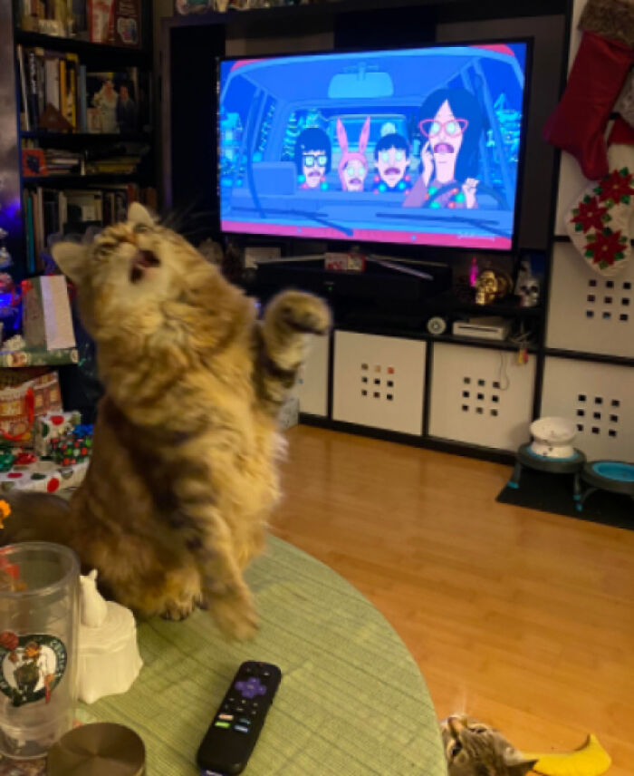 They’re All Making The Same Face