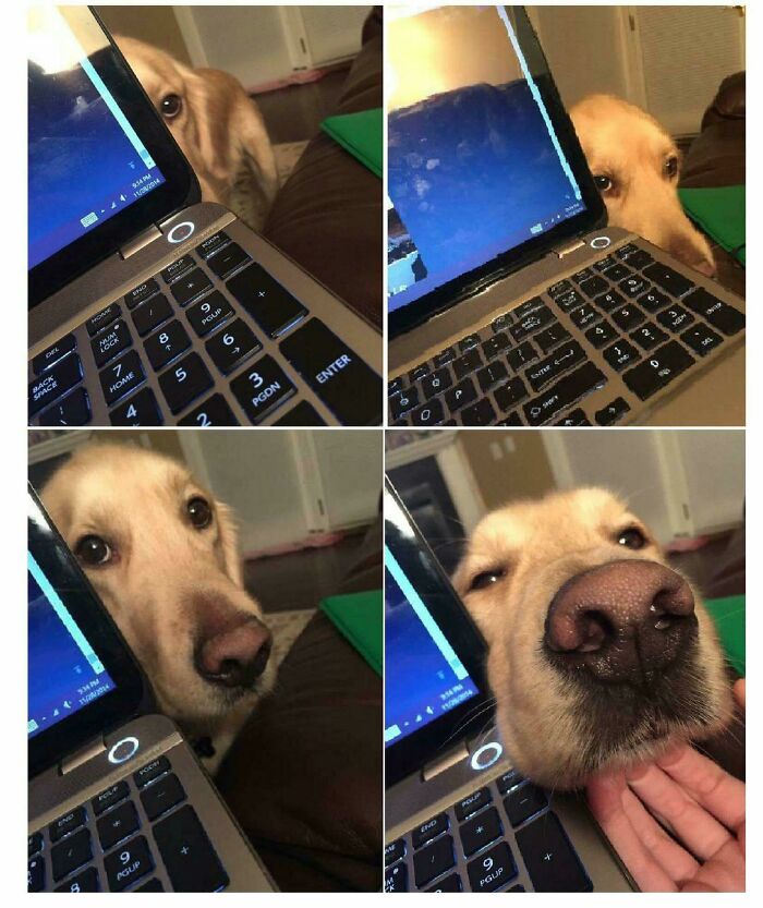 When You're Busy But He Wants Your Attention