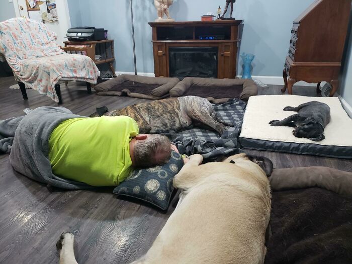 My 65 Year Old Dad Sleeping On The Floor With Their Dog After Her Surgery Because She Can’t Go Up The Stairs 