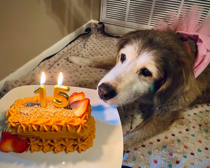 Happy 15th Birthday To My Best Friend!