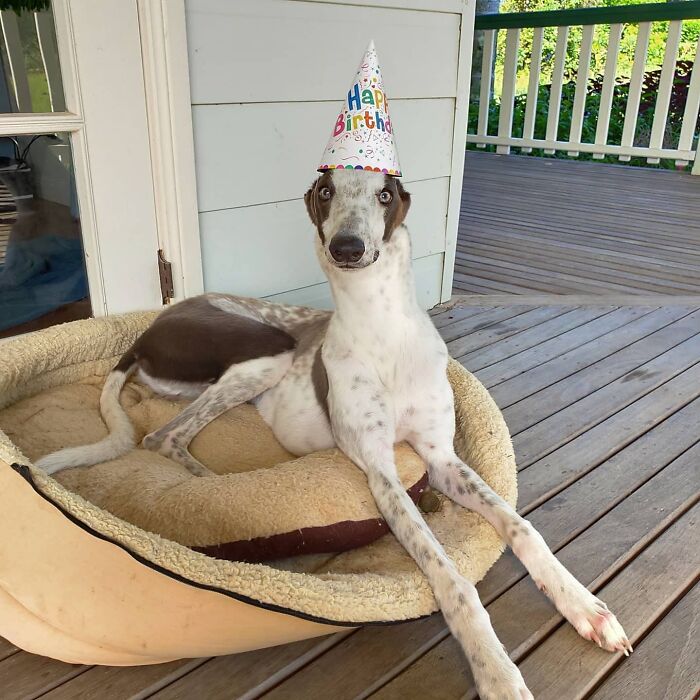 It's Henry's First Birthday Today 