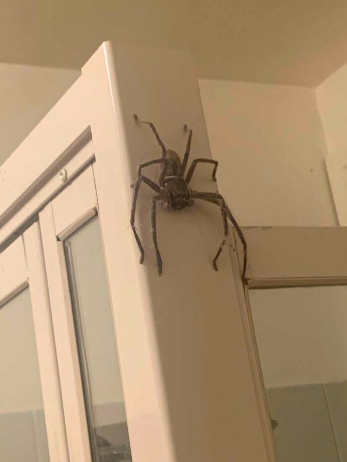 Just Casually Chilling In Our Beach House Bathroom