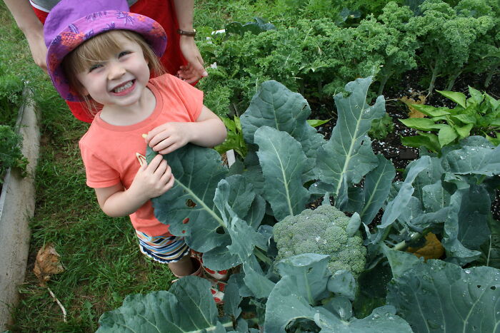 The Pride And Joy My Daughter Felt When She Grew Her Own Broccoli. I Love This Photo!