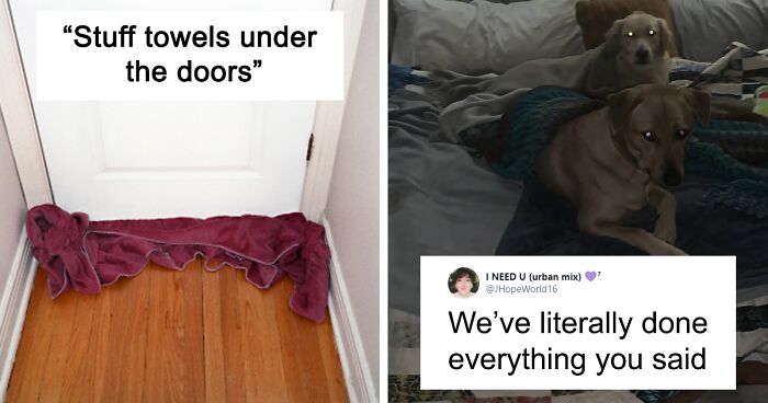 People From Places That Have Harsh Winters Are Sharing Tips For Texas On How To Deal With The Current Situation