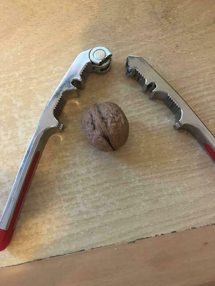 I Just Managed To Take A Pic Of My Life