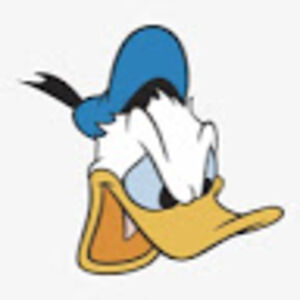 daniellarodrigues avatar