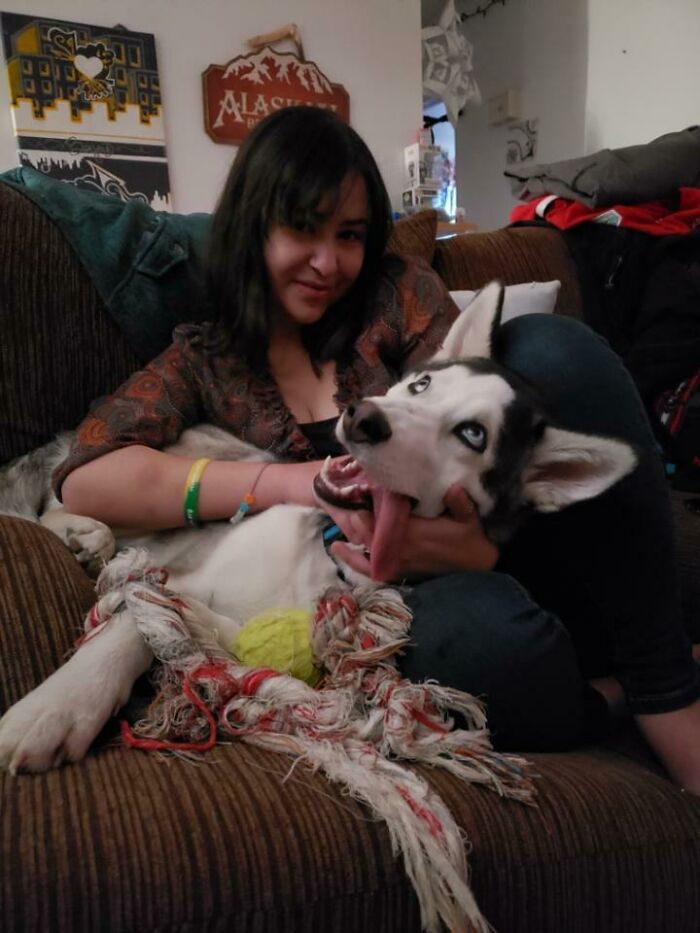 Trying To Take A Cute Picture. Hiccup Had A Different Idea