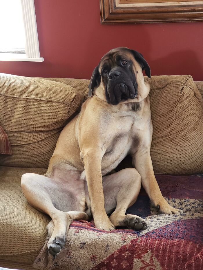 Someone Has A Case Of The Mondays