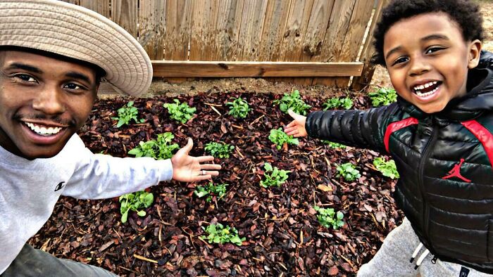 We Planted Our First Garden For Pollinators