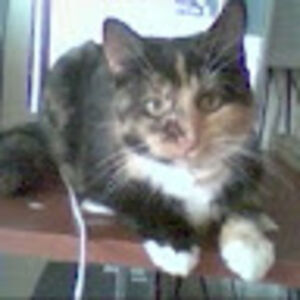 clicketysplit_1 avatar