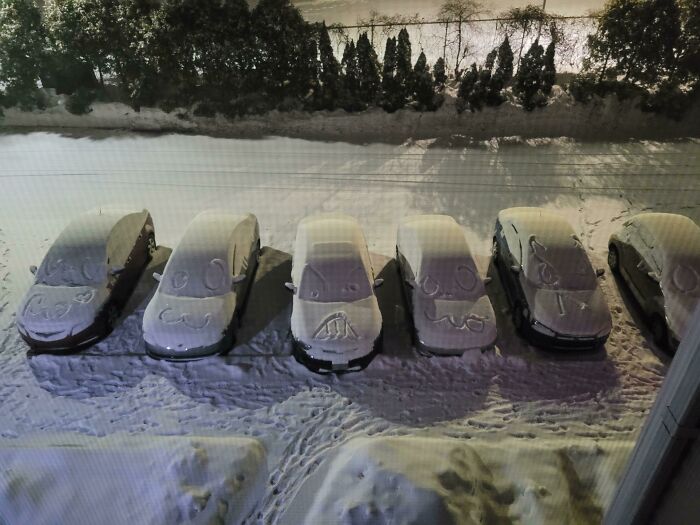 Someone Has Drawn Cartoon Faces On All The Cars In This Snowy Lot.