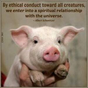 crutherford923 avatar