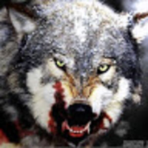 sophiasaffaras avatar