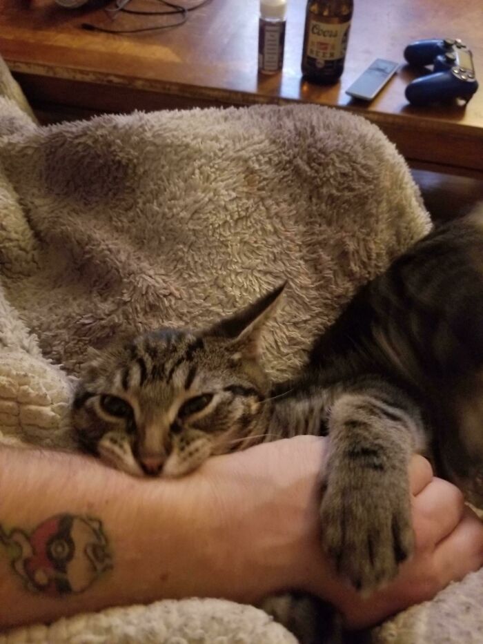 I Just Wanted To Pet Him