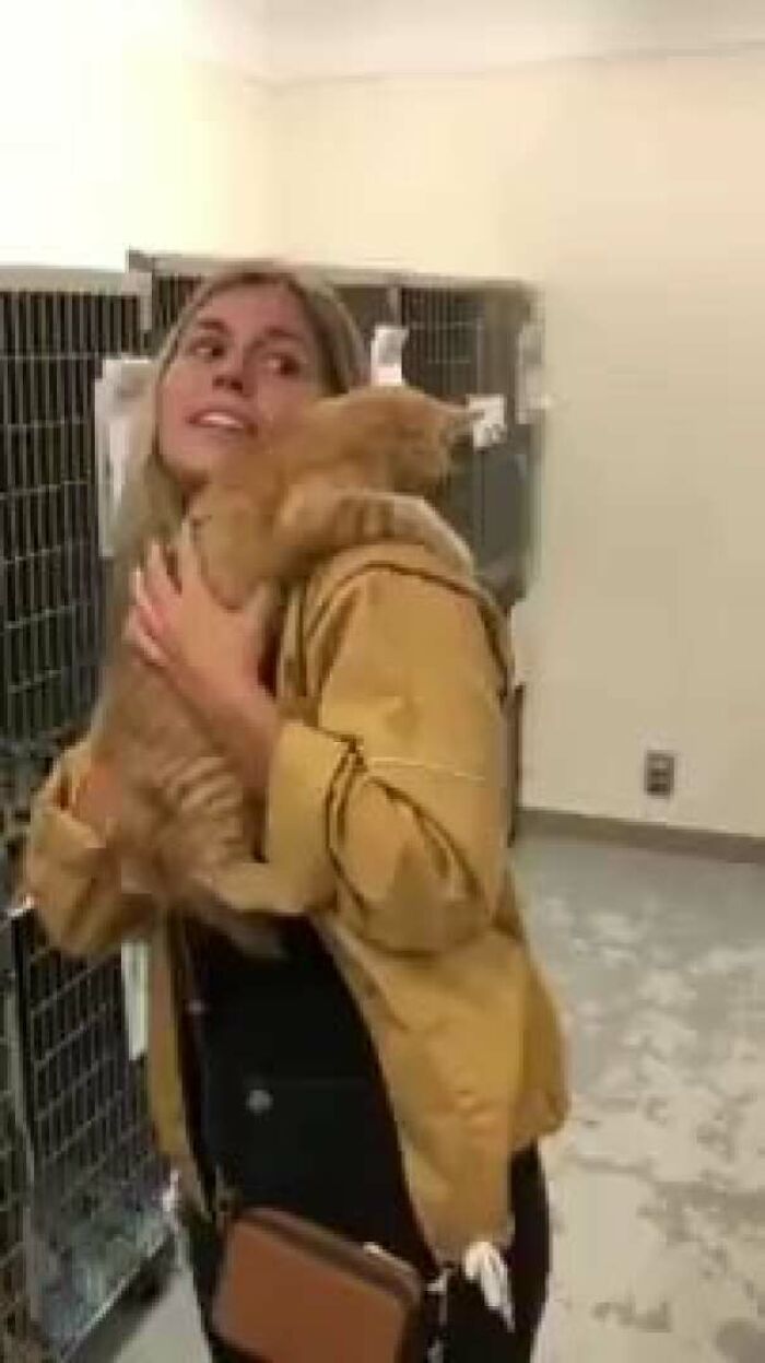 Theo Adopts Her Human, Kate