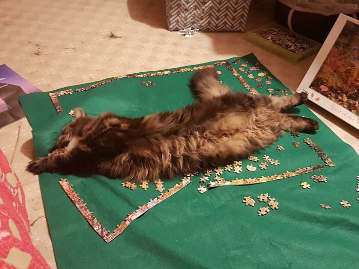 Destroying Puzzle Pieces And Rolling Around, Spreading Bastardness