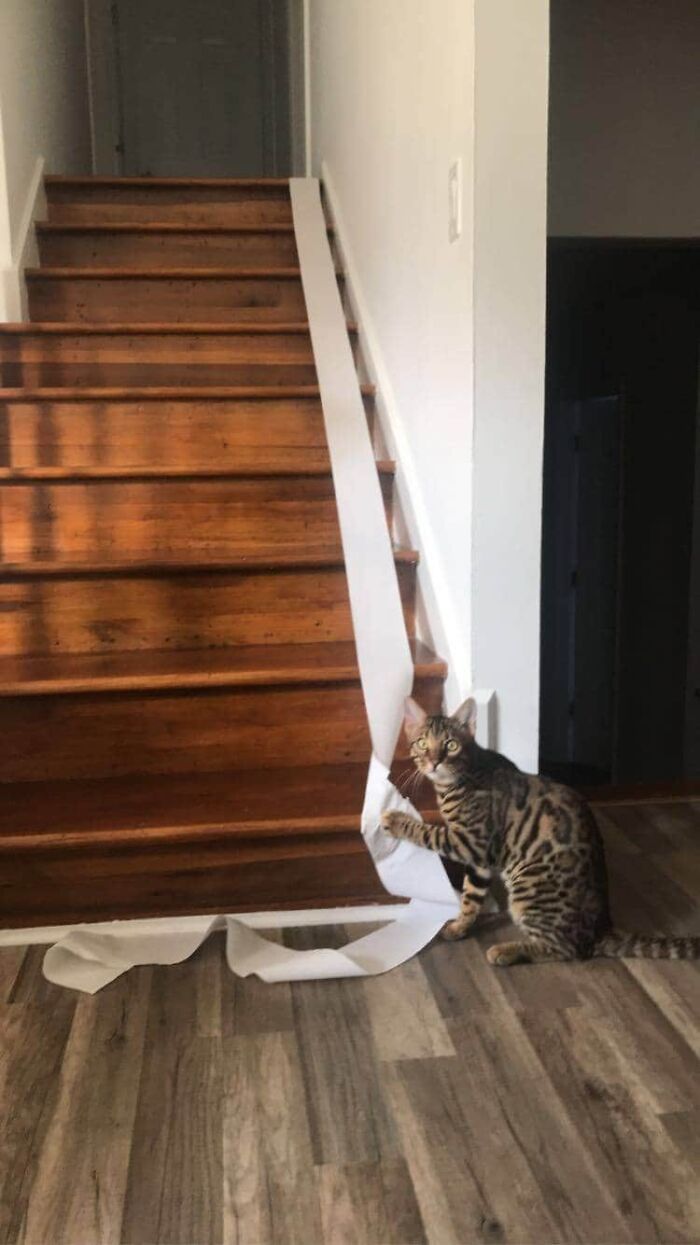 Destroying Precious Commodity