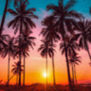 yohanaayala-rodriguez avatar