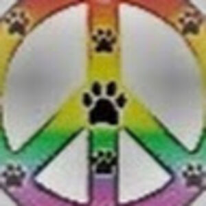 kimberlypayne avatar