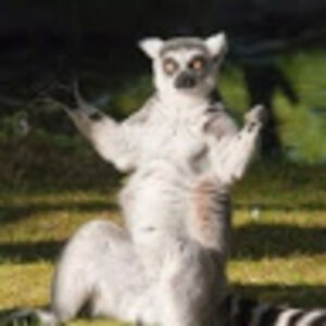 katherinehunter avatar