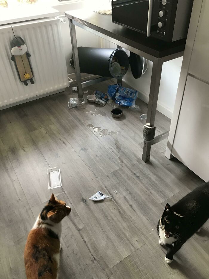 A Lovely Early Morning Surprise