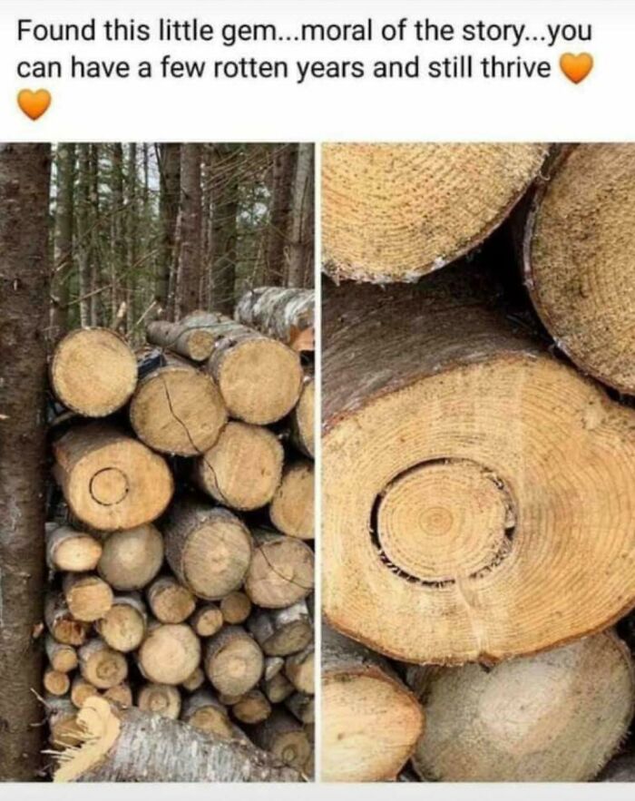 Good Way To Think About The Current World Situation