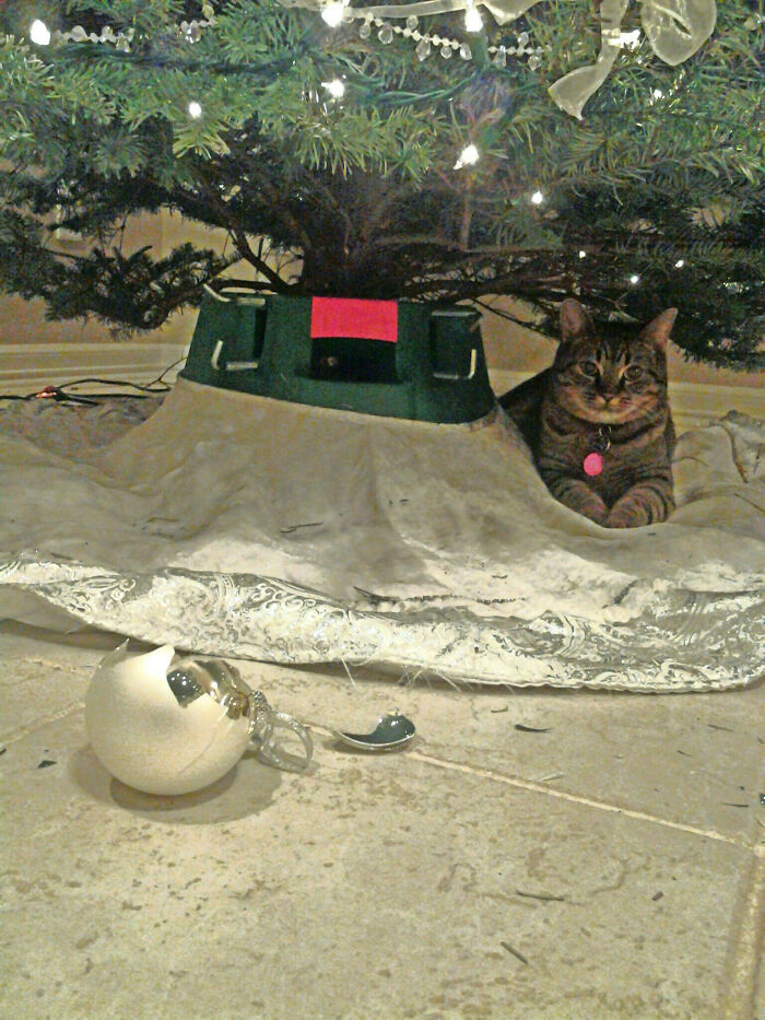 First Kill Of The Season