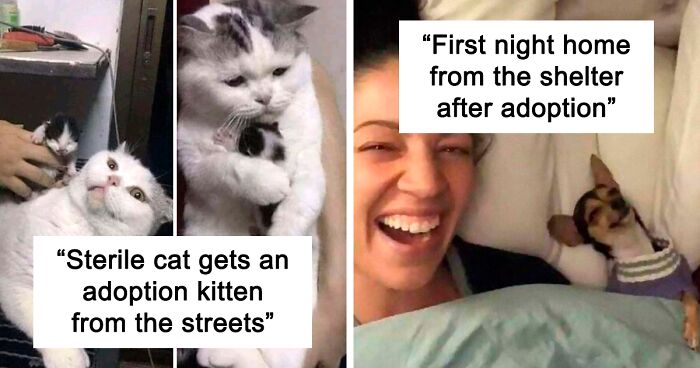 50 Most Wholesome Rescue Pet Photos Of The Month (February Edition)