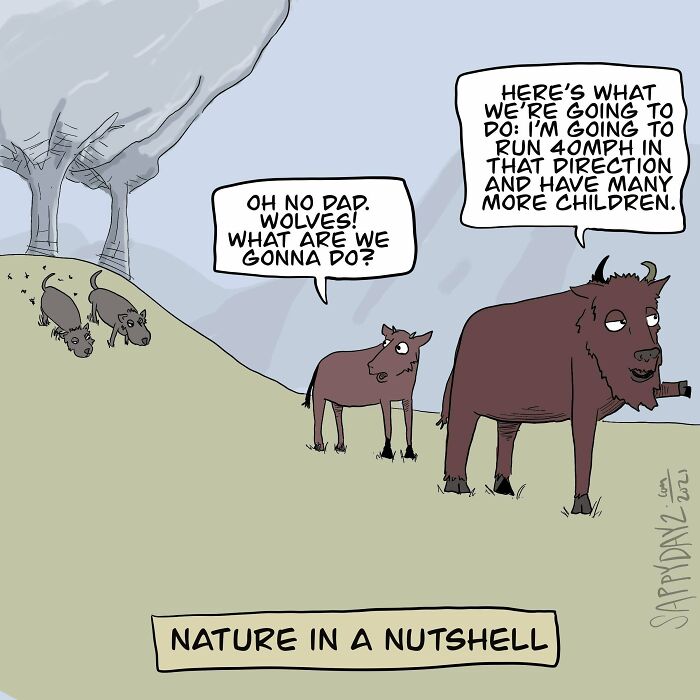 If Watching The Discovery Channel Has Taught Me Anything