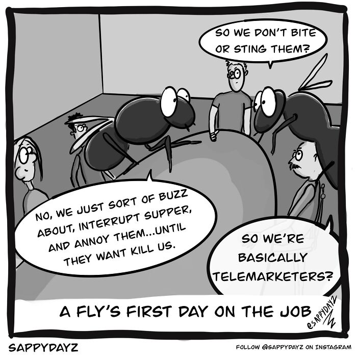 A Fly’s First Day In The Job 