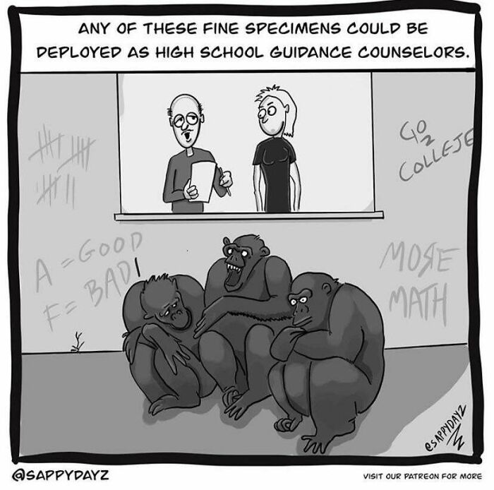 What Exactly Do Guidance Counselors Do? 