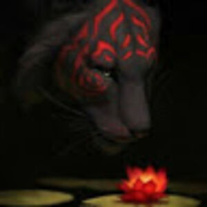 natalieaustermann avatar