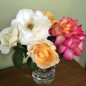 beverlyjohnson_1 avatar