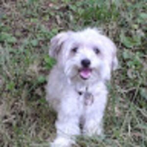 liannearnote_1 avatar