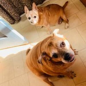 roberta_bray-enhus avatar