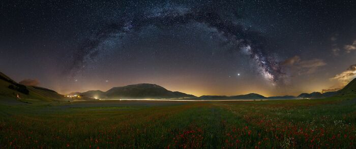 A Highway Of Flowers (Nature/Panoramic, Gold)