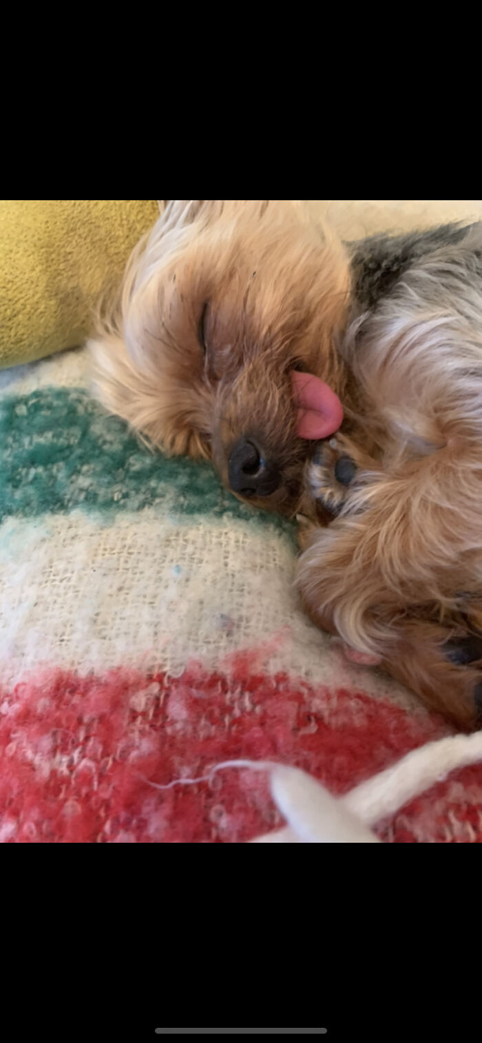 Jake And His Tongue.. Keeping It Casual