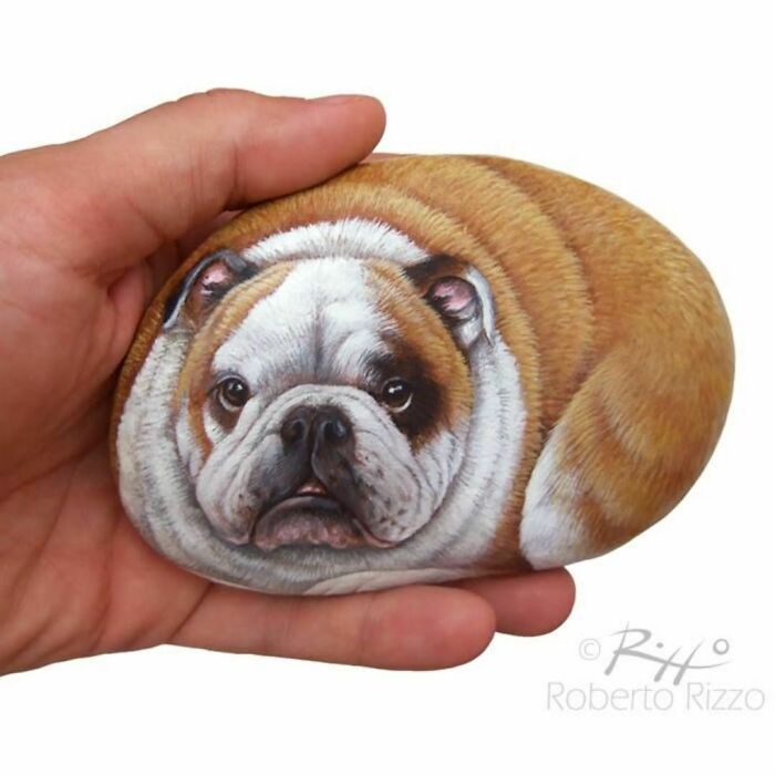 Hand-Painted-Rocks-Stone-Art-Animals-Robertorizzoart
