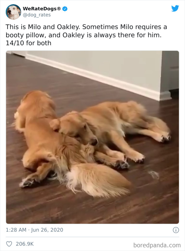 We-Rate-Dogs-Twitter