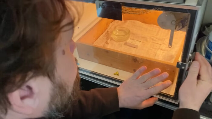 Man Finds An Abandoned Parrot Egg And Hatches It Into An Adorable Budgie