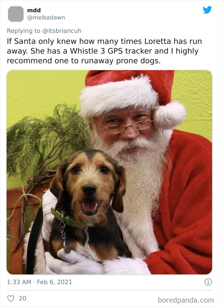 Chase-Dog-Down-The-Street-Game-Stories