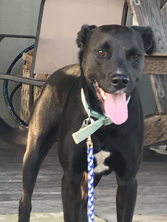 He May Not Be The Biggest Animal But He Sure Has One Of The Biggest Hearts