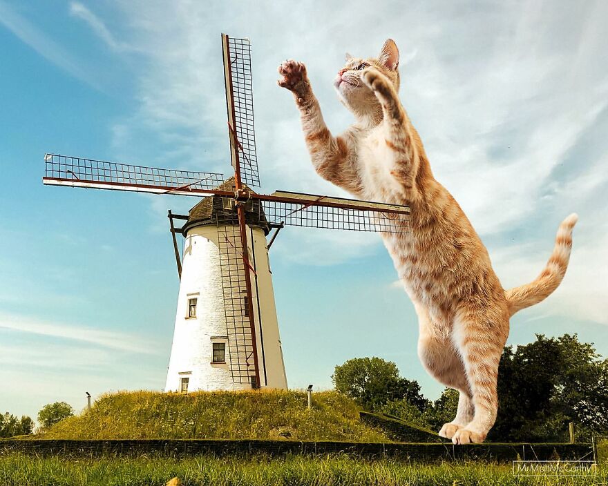 Artist Imagines The World With Giant Cats, And The Result Is Purrrfect