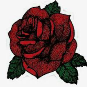 audrey_hommez avatar