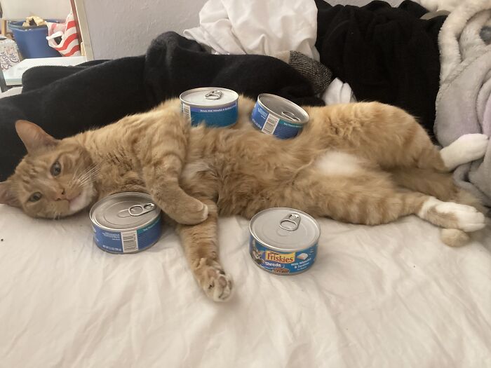 Dr. O. Crush Butterscotch