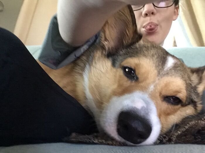 The Seamus-Baby Is Mid-Snooze.awwww, My Sweety!