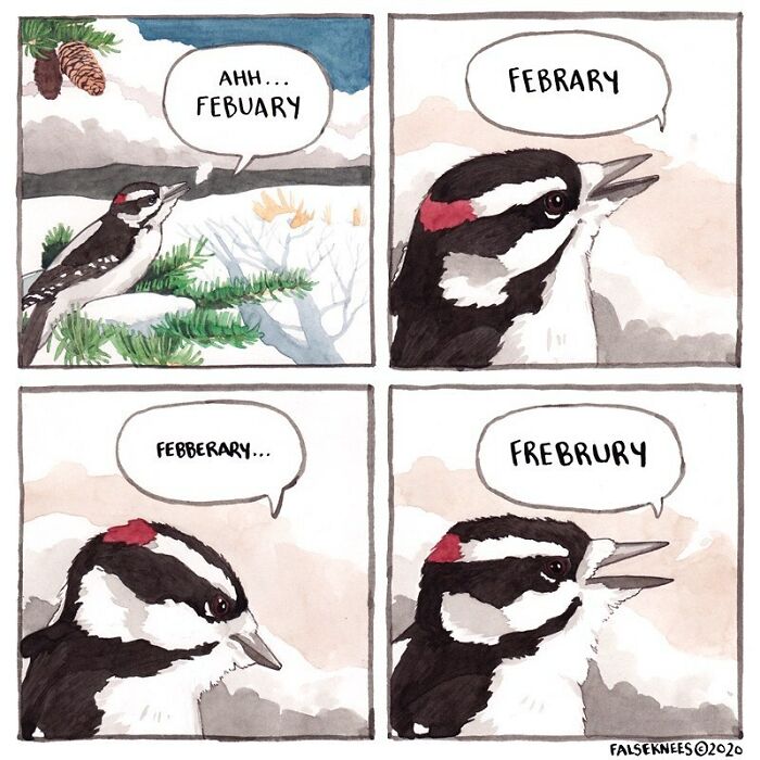 Animals-Birds-Comics-False-Knees