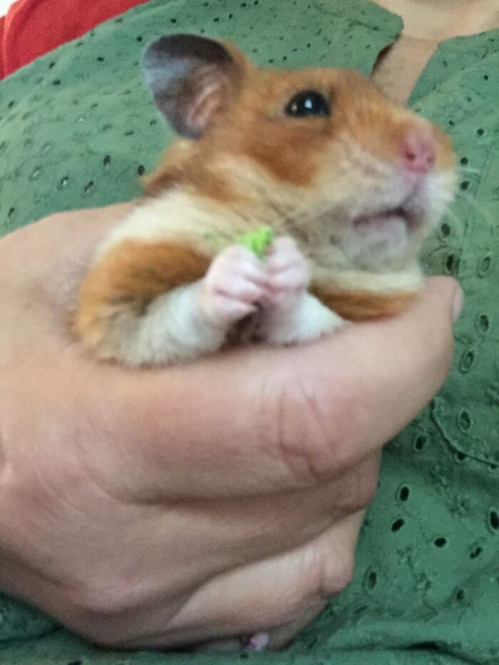 What! What Was That!?